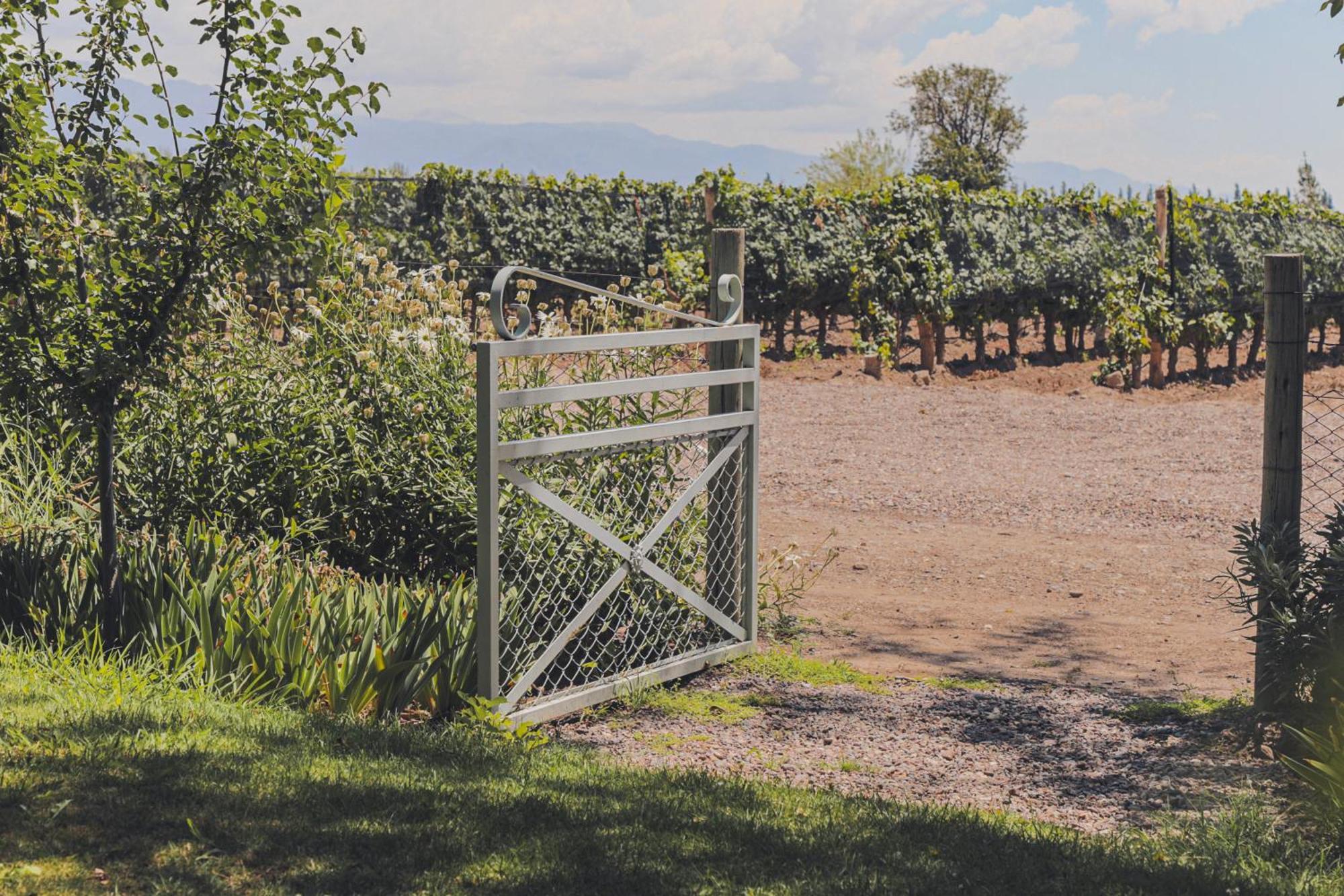 Enlace Wine House Lujan de Cuyo Екстериор снимка