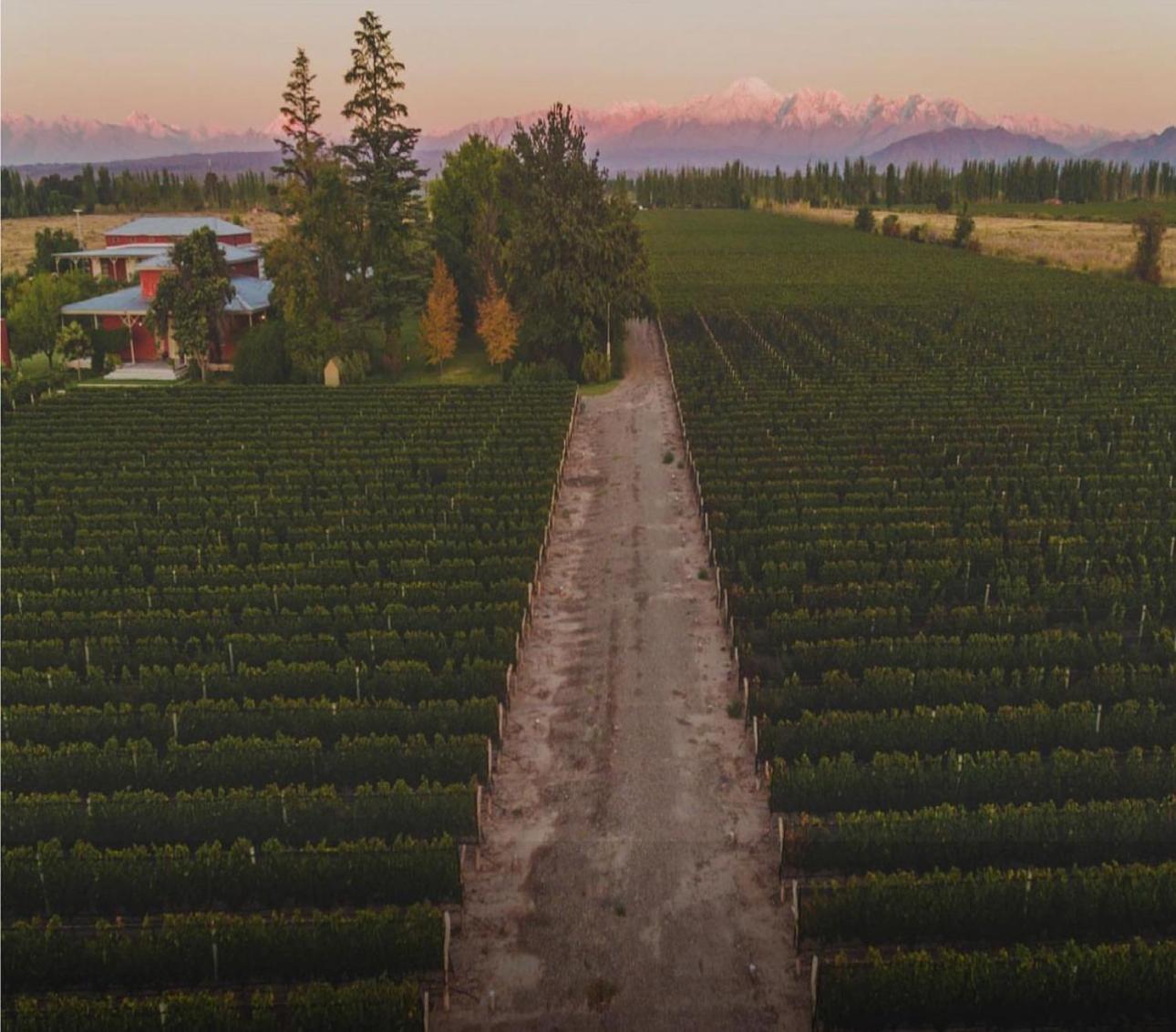 Enlace Wine House Lujan de Cuyo Екстериор снимка