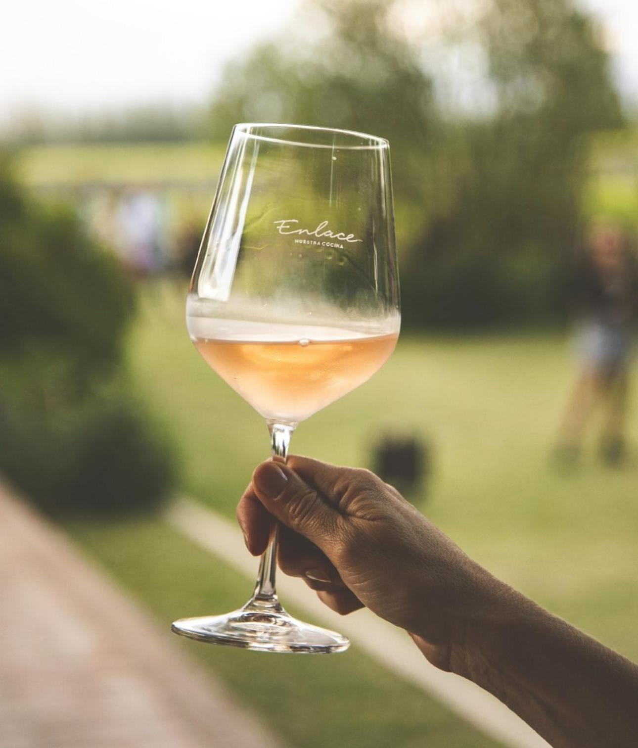 Enlace Wine House Lujan de Cuyo Екстериор снимка